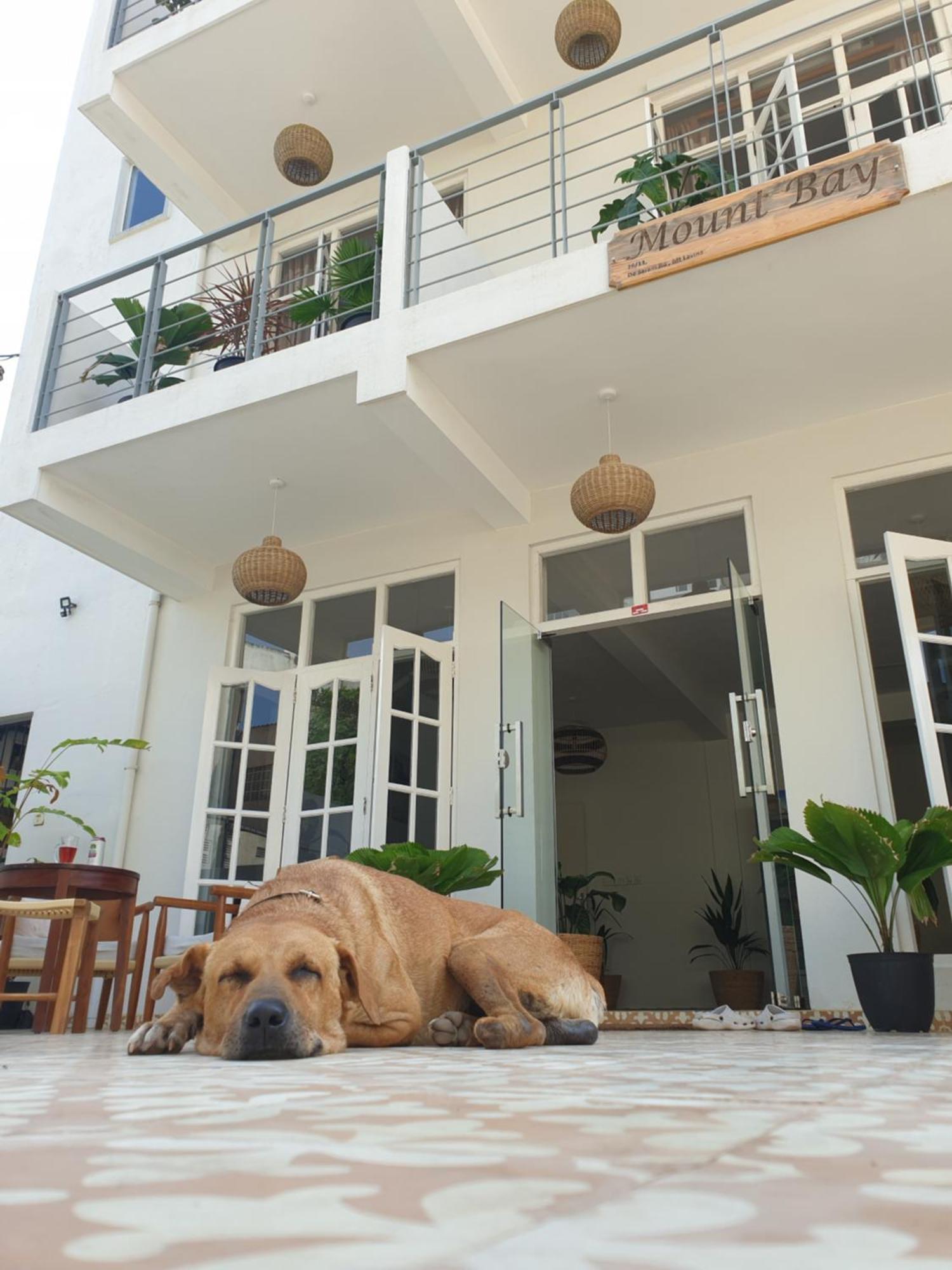 Mountbaylk Hotel Dehiwala-Mount Lavinia Eksteriør billede