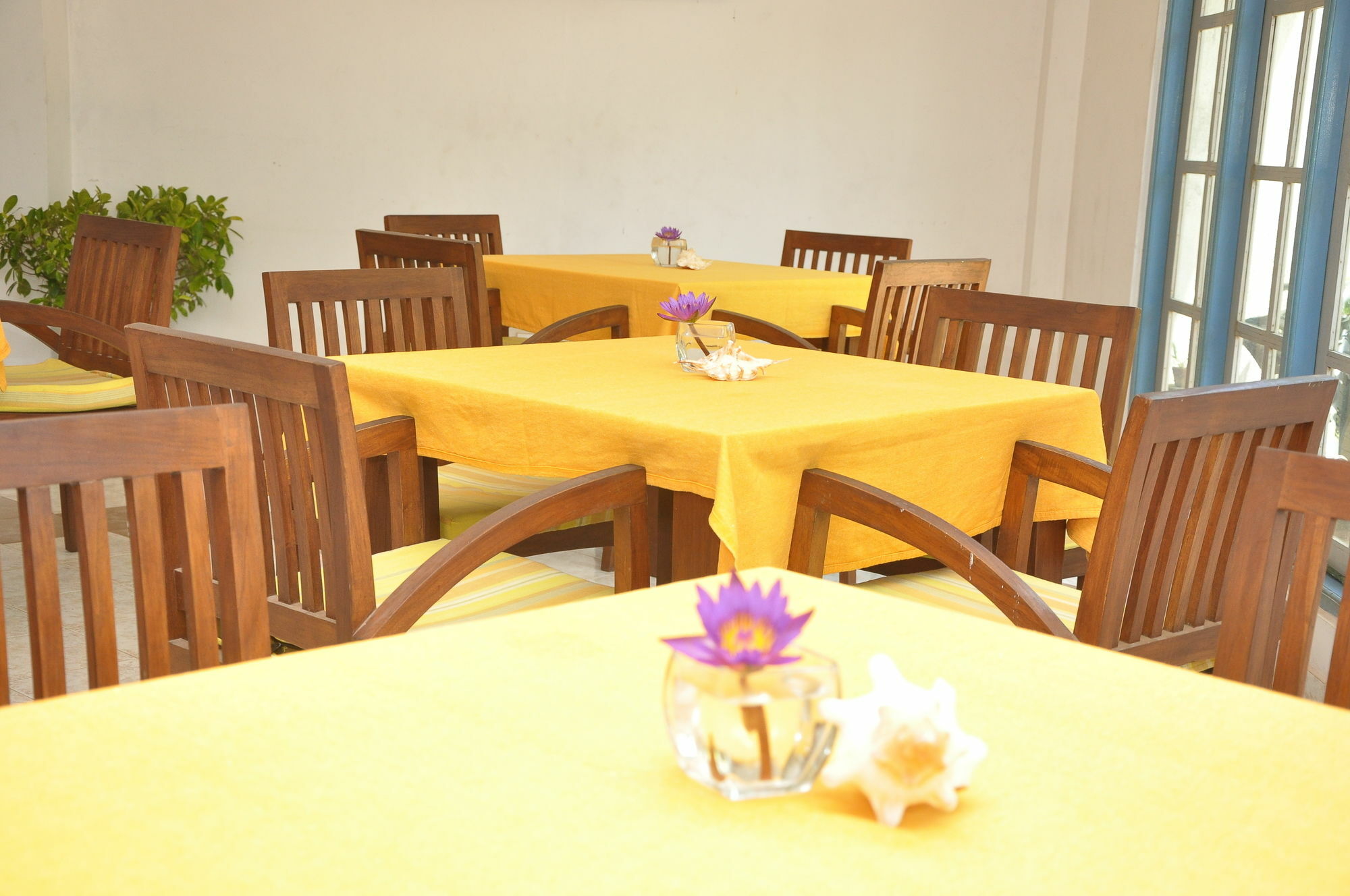 Mountbaylk Hotel Dehiwala-Mount Lavinia Eksteriør billede